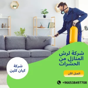 شركة لرش المنازل من الحشرات