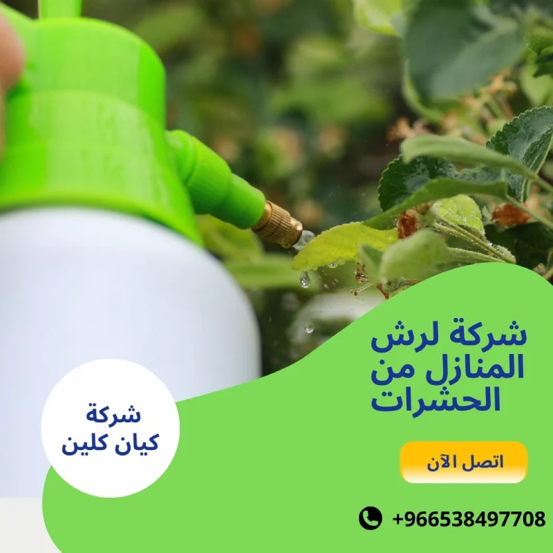 شركة لرش المنازل من الحشرات